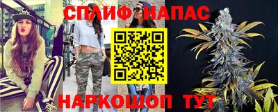МДПВ Новокубанск
