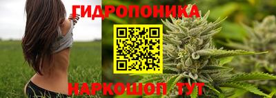 МДПВ Новокубанск