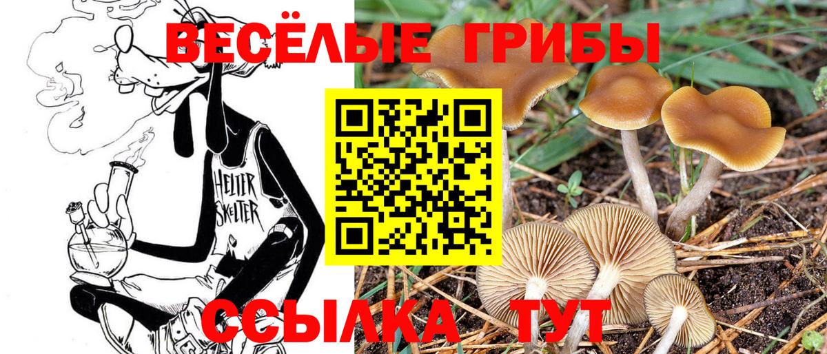 Галлюциногенные грибы Cubensis  Псилоцибиновые грибы Psilocybe  купить наркотики цена  Вход с VPN  Строитель 
