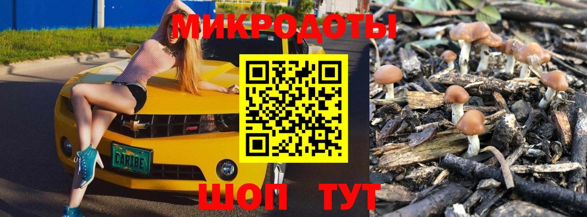 Галлюциногенные грибы ЛСД Строитель